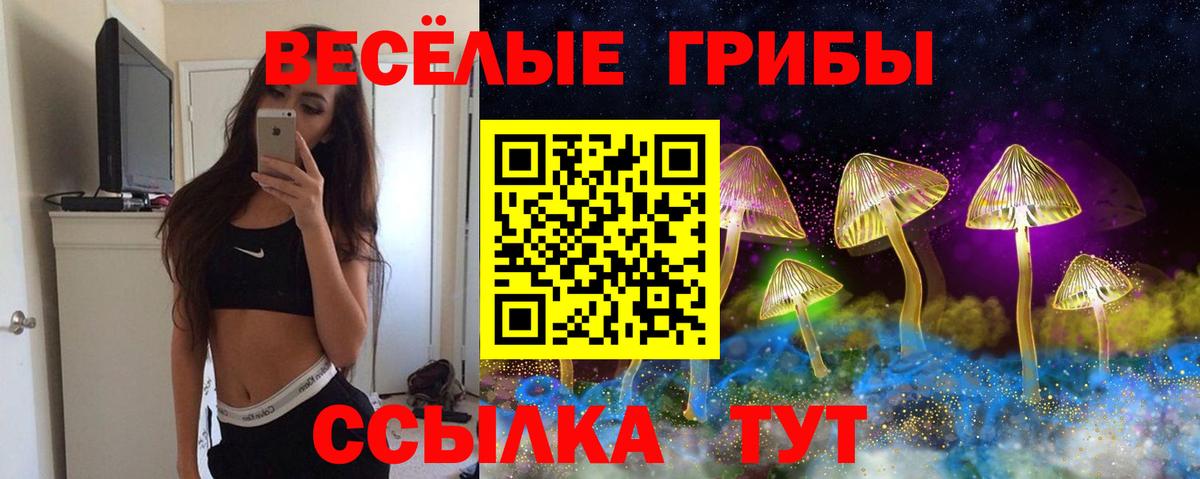 Псилоцибиновые грибы мицелий Нижнеудинск
